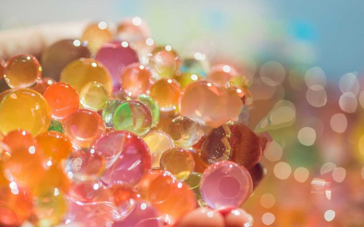 orbeez toxic to cats