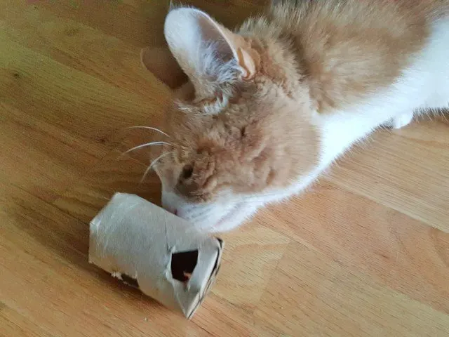 Toilet Paper Roll Treat Dispenser for Cat 