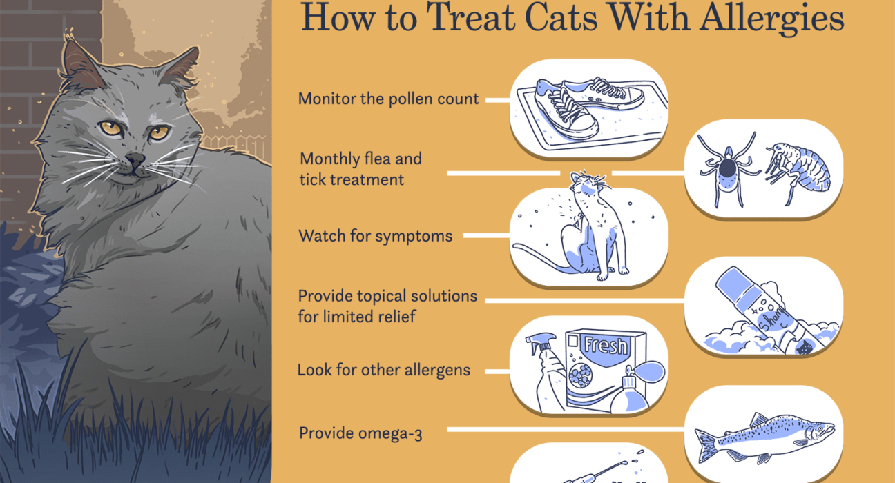 Cat Allergies: Causes, Symptoms, and 100% Solutions