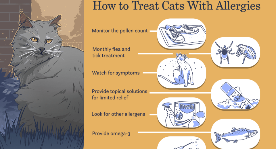 Cat Allergies: Causes, Symptoms, and 100% Solutions