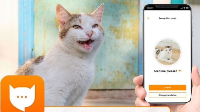 Communication Apps for Cats