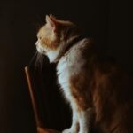 Famous Cat Paintings in the World: A Purrfect Exploration