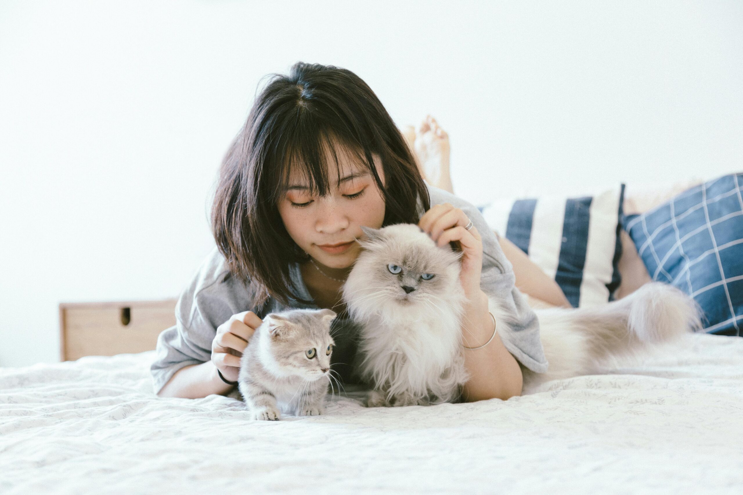 Health-conscious girl enjoying playful moments with her cat, promoting physical and emotional well-being through pet interaction.