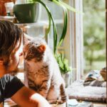 5 Cat Diseases:You Should Know for a better Health Bond